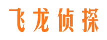 舞阳侦探公司